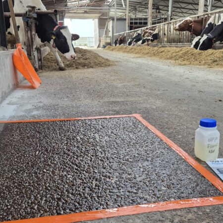 WFP Floor Coating 1K wfp.testujemy.ovh Silna marka w budownictwie